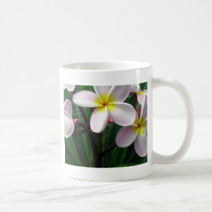 Hawaiian Plumeria Flowers Coffee Mug
