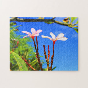 Hawaiian Plumeria Jigsaw Puzzle