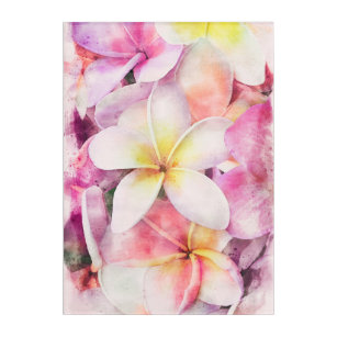 Hawaiian Plumeria Tropical Floral Watercolor Acrylic Print