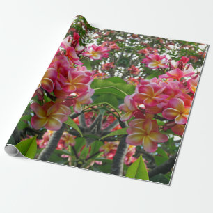 Hawaiian Plumeria Wrapping Paper