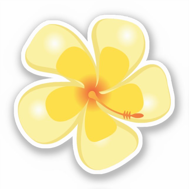 Hawaiian Print (Front)