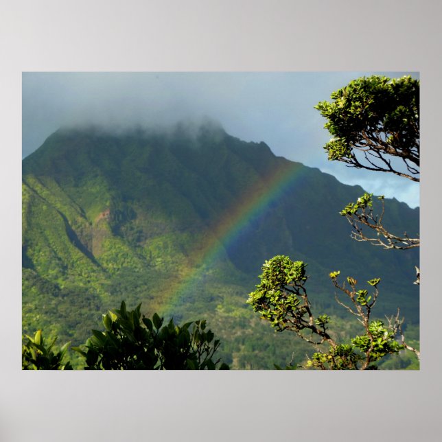 Hawaiian Rainbow Poster (Front)
