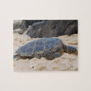 Hawaiian Sea Turtle Jigsaw Puzzle
