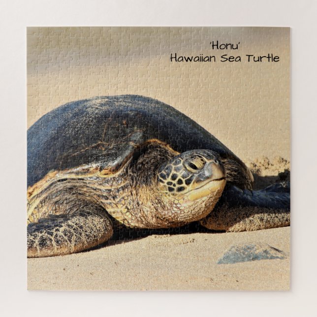 Hawaiian Sea Turtle Puzzle (Vertical)