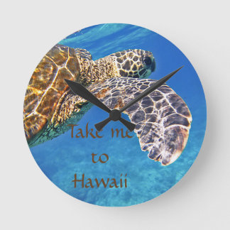 Hawaiian Sea turtle swimming Round Clock
