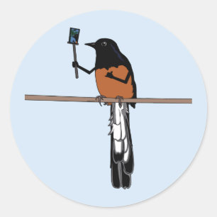 Hawaiian Shama Bird Selfie Classic Round Sticker