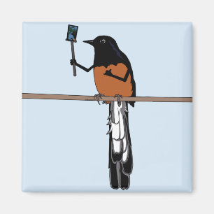 Hawaiian Shama Bird Selfie Magnet