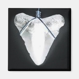 Hawaiian Shark Tooth Magnet