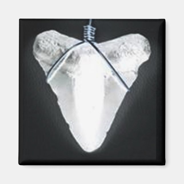 Hawaiian Shark Tooth Magnet (Front)