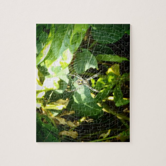 Hawaiian spider puzzle (Vertical)