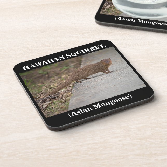 Hawaiian Squirrel (Asian Mongoose) Plastic Coaster (Left Side)