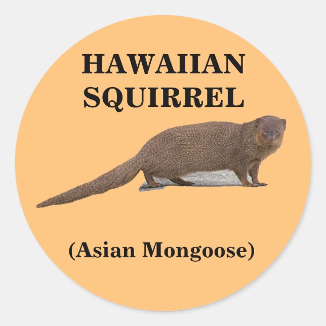 Hawaiian Squirrel (Asian Mongoose) Round Sticker (Front)