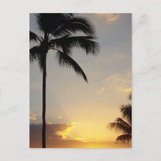Hawaiian Sunrise Postcard