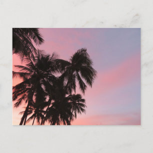 Hawaiian Sunrise Postcard