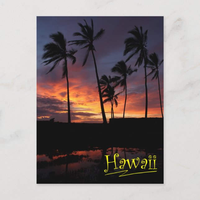 Hawaiian Sunset at Place of Refuge Postcard (Front)