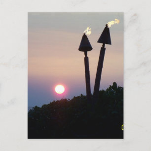 Hawaiian Sunset Luau Gifts Postcard