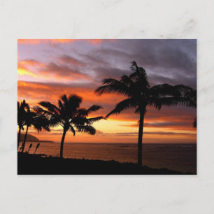 Hawaiian Sunset Postcard