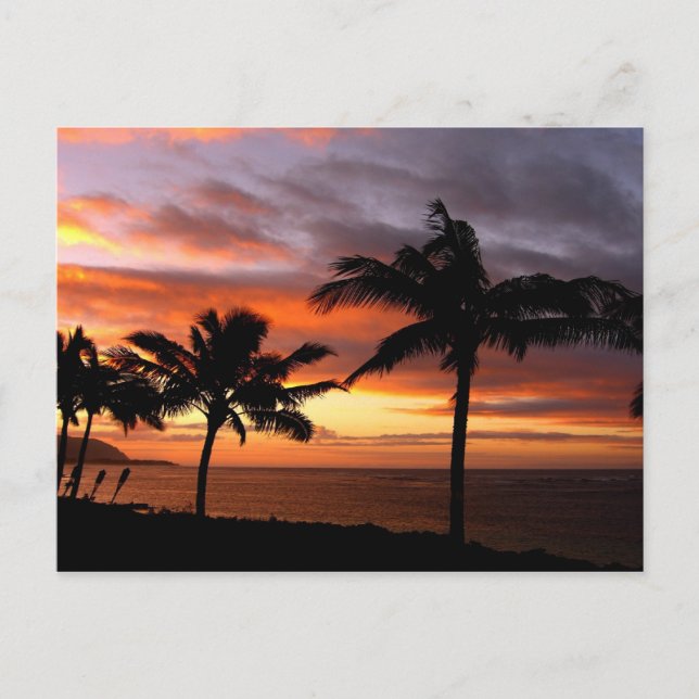 Hawaiian Sunset Postcard (Front)