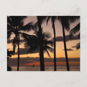 Hawaiian Sunset Postcard