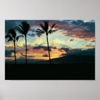 Hawaiian Sunset