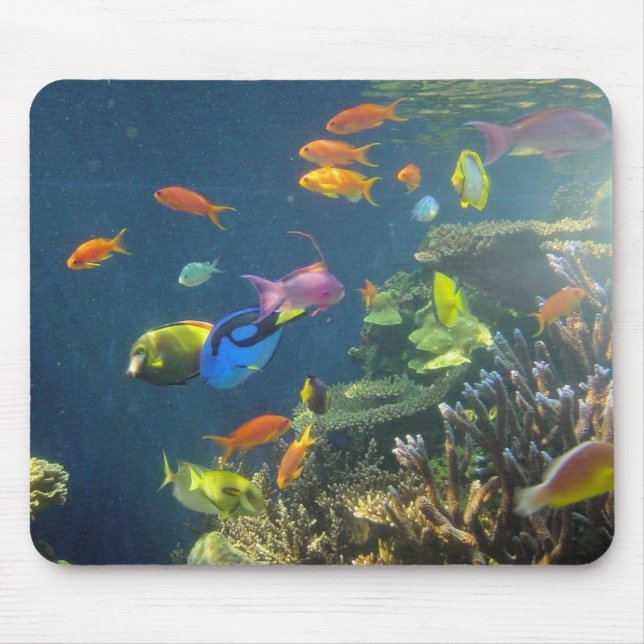 Hawaiian Tropical Fish Mouse Pad (Front)