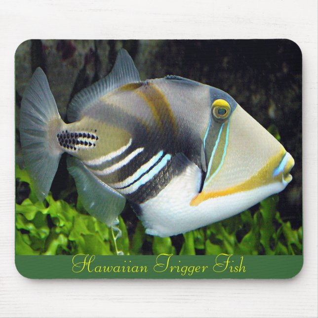 Hawaiian Tropical Fish Mousepad (Front)