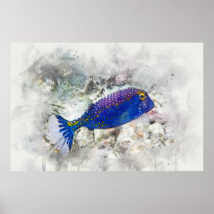 Hawaiian Tropical Fish Watercolor - Boxfish Poster