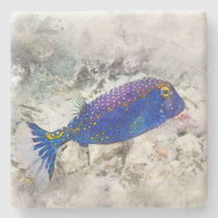 Hawaiian Tropical Fish Watercolor - Boxfish Stone Coaster