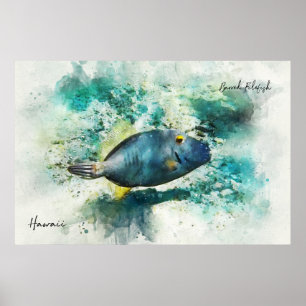 Hawaiian Tropical Fish Watercolor - Filefish Poster