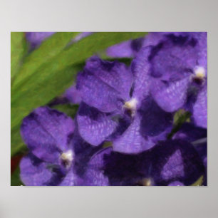 Hawaiian Tropical Orchid Poster