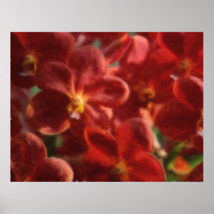 Hawaiian Tropical Orchid Poster