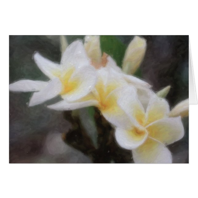 Hawaiian Tropical Plumeria Cards (Front Horizontal)