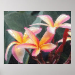 Hawaiian Tropical Plumeria Poster