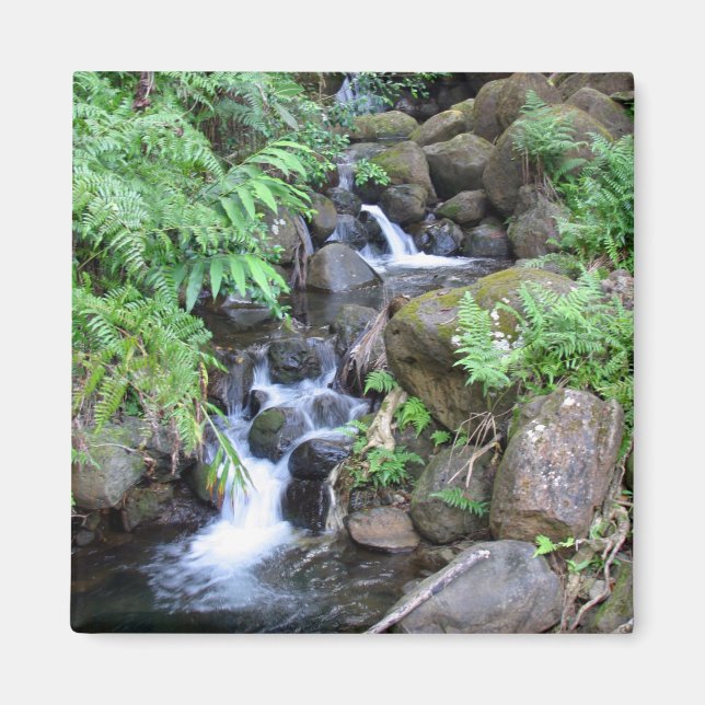 Hawaiian Tropical Stream Magnet (Front)