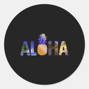 Hawaiian Vacation Pineapple Aloha Hawaii Luau Cost Classic Round Sticker