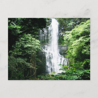 Hawaiian Waterfall Postcard