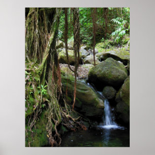 Hawaiian Waterfall Poster