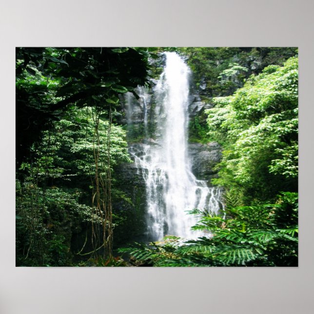Hawaiian Waterfall Poster (Front)