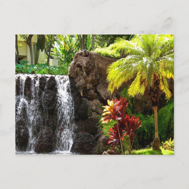 Hawaiian Waterfalls Postcard (Front)