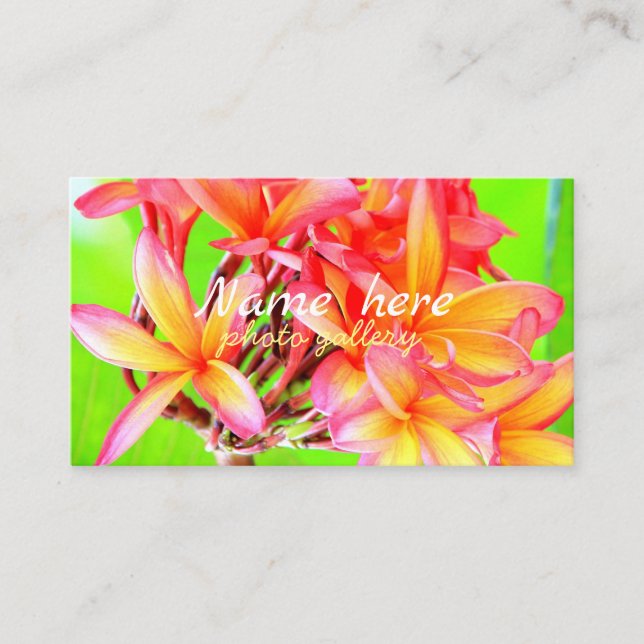Hawaiian white plumeria flower pink business card (Front)