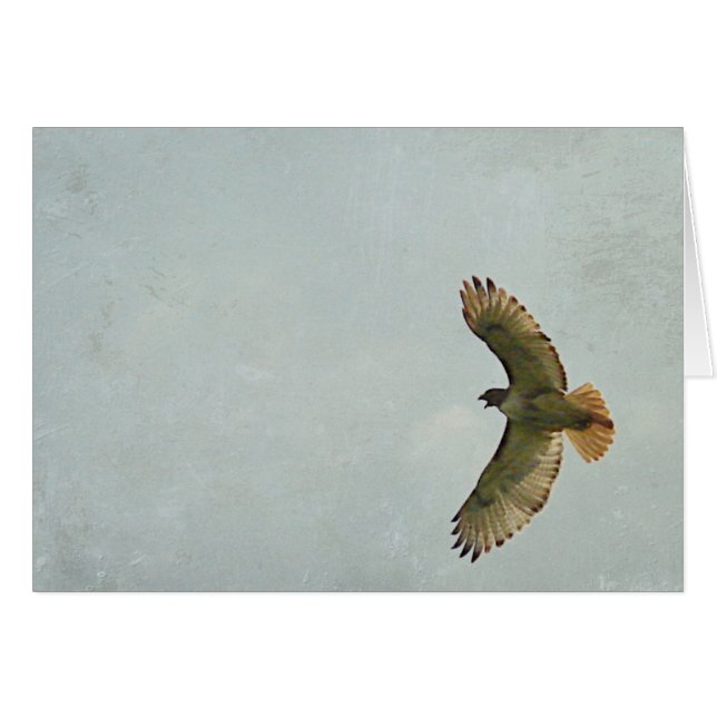 Hawk (Front Horizontal)