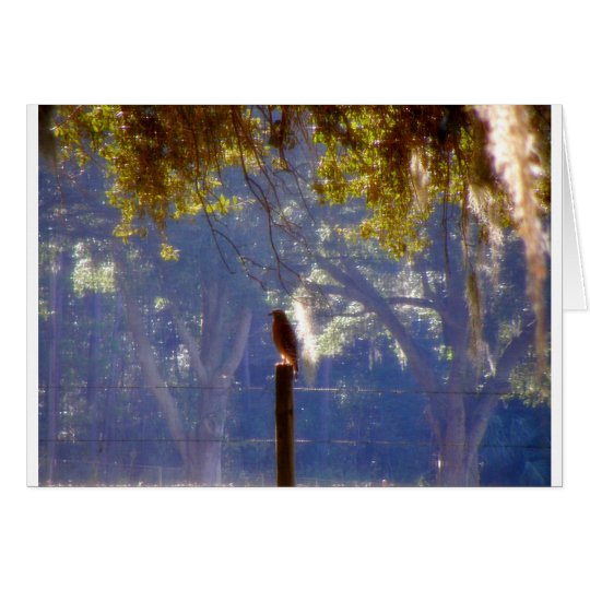 Hawk #1 card