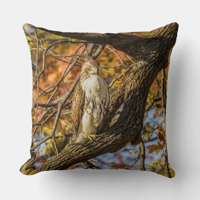 Hawk and Fall Foliage Cushion (Front)