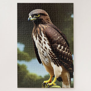 hawk art jigsaw puzzle
