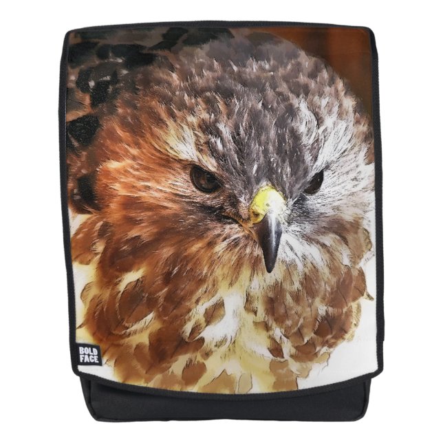 HAWK BACKPACK (Front)