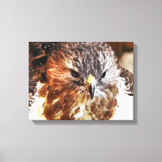 HAWK CANVAS PRINT (Front)