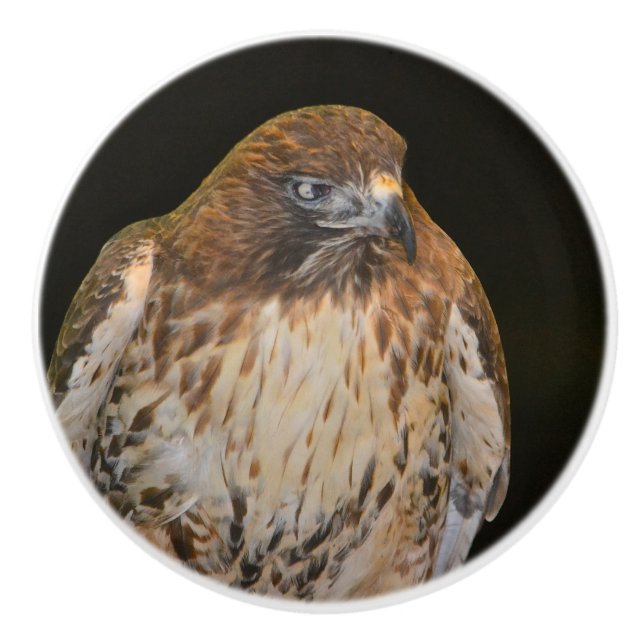 Hawk Ceramic Knob (Front)