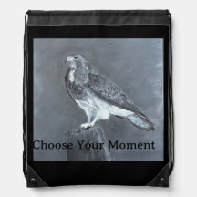 Hawk - Choose Your Moment