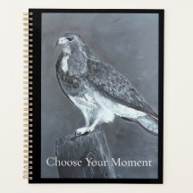 Hawk - Choose Your Moment