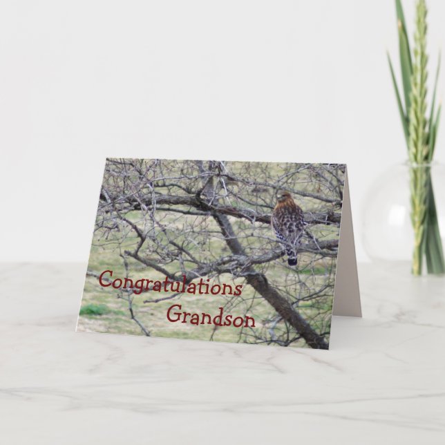 Hawk Congratulations - customise any occasion Card (Front)